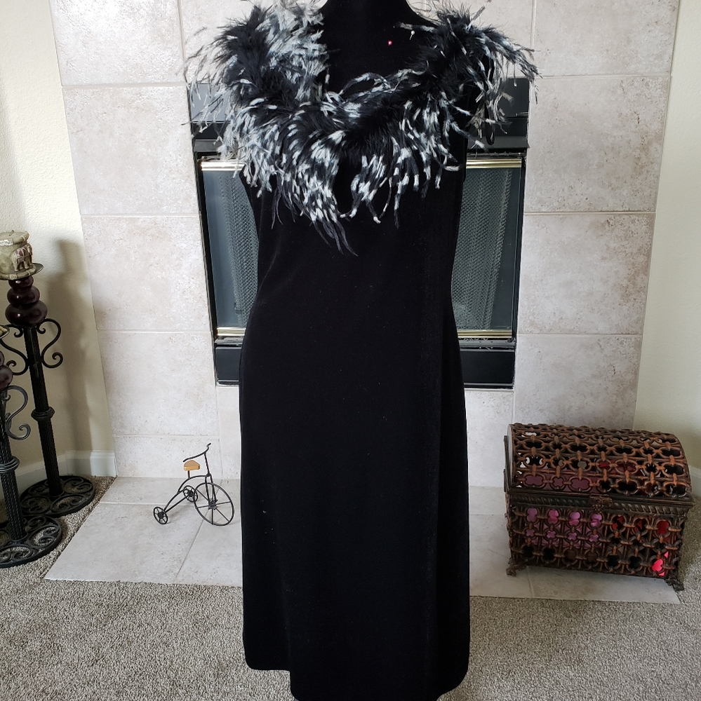 Beautiful feather top dress
